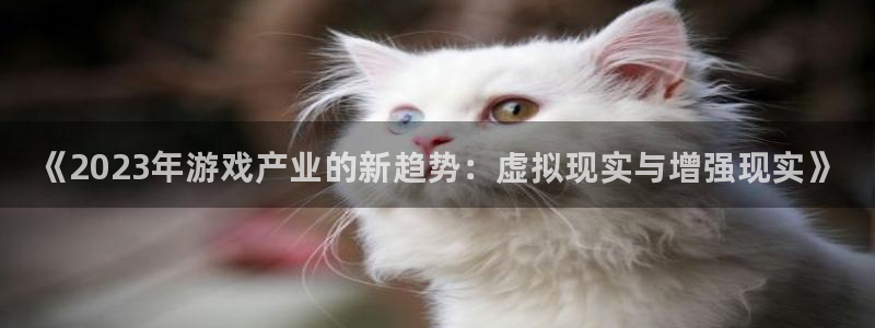 辉达娱乐线路测试：《2023年游戏产业的新趋势：虚拟现实与增