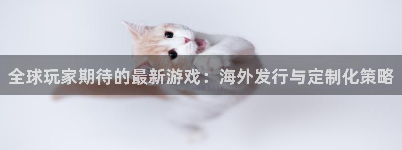 辉达娱乐测速：全球玩家期待的最新游戏：海外发行与定制化策略