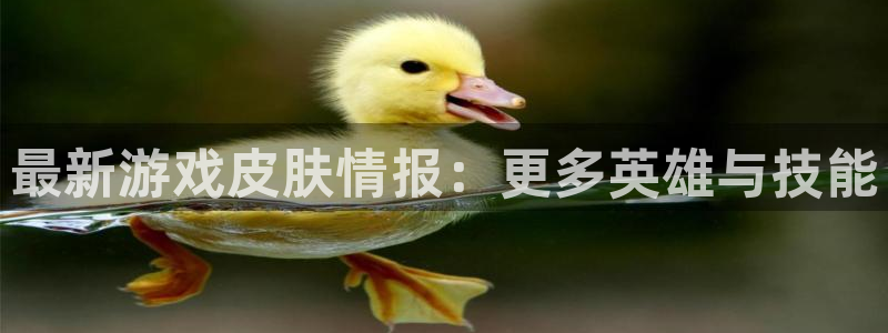 辉达娱乐平台注册：最新游戏皮肤情报：更多英雄与技能