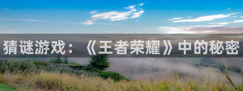辉达娱乐：猜谜游戏：《王者荣耀》中的秘密