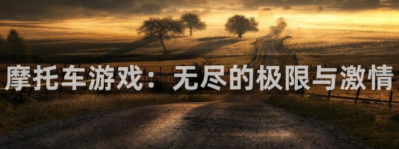 辉达娱乐平台官网注册：摩托车游戏：无尽的极限与激情